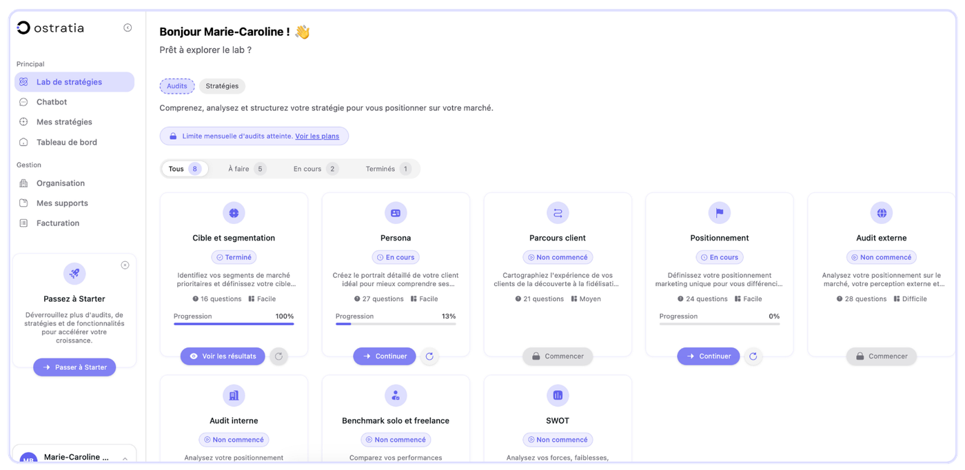 Ostratia-audit-dtrategie-marketing